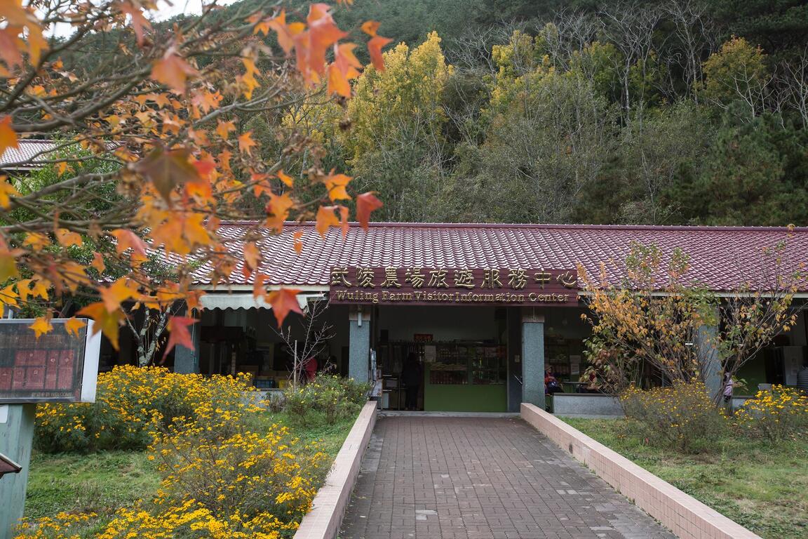 Wuling Farm｜A High Mountain Paradise for Spring Flowers, Summer Fruit Picking, Autumn Maple, and Winter Snow's 1st image